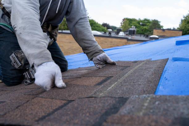 Best Roof Gutter Cleaning  in Listoga, CA